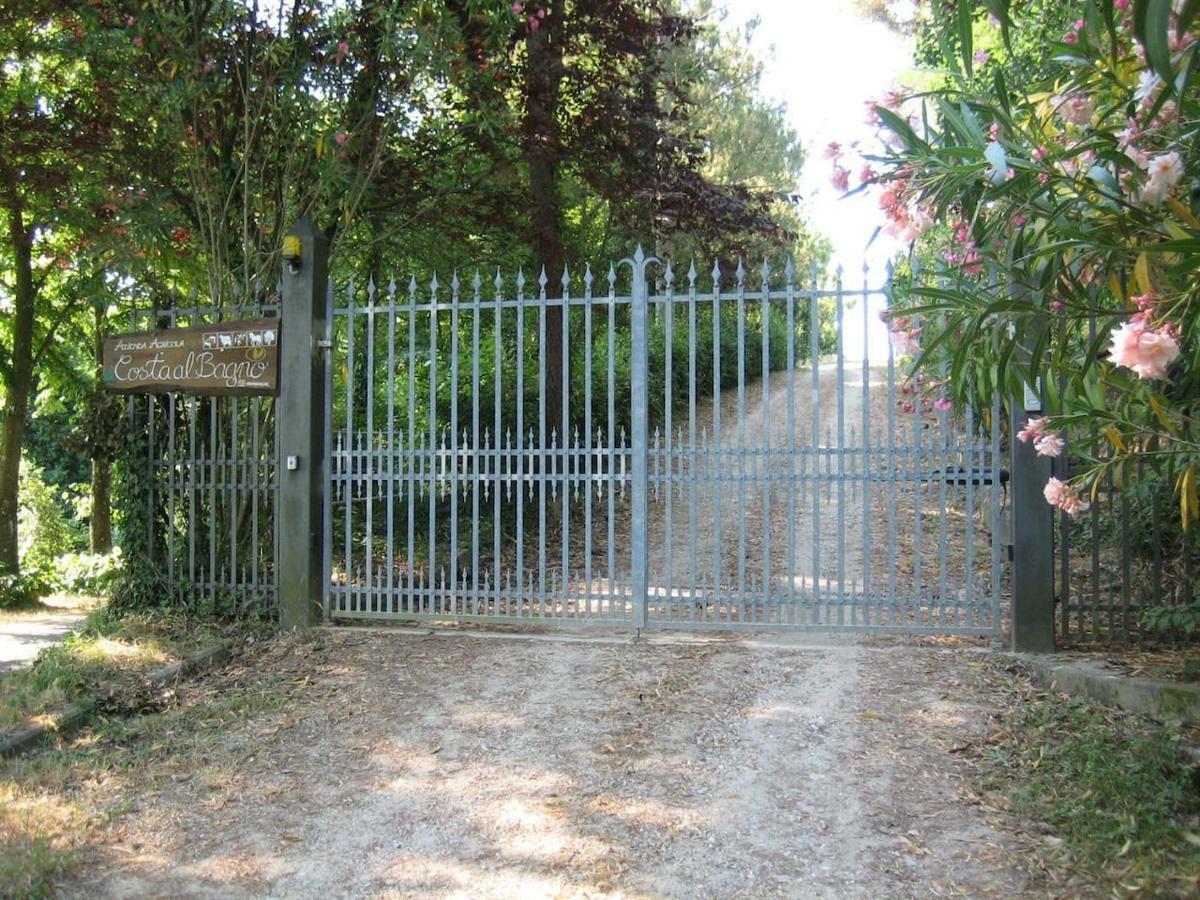 Villa In Campagna Costa Al Bagno Montopoli in Val d'Arno Ngoại thất bức ảnh