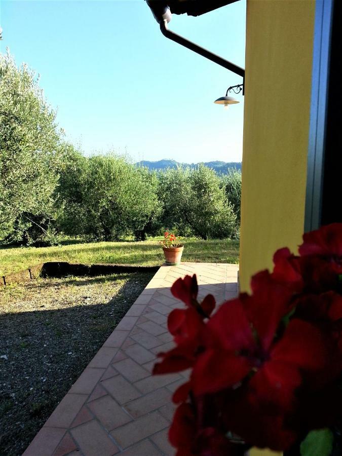 Villa In Campagna Costa Al Bagno Montopoli in Val d'Arno Ngoại thất bức ảnh